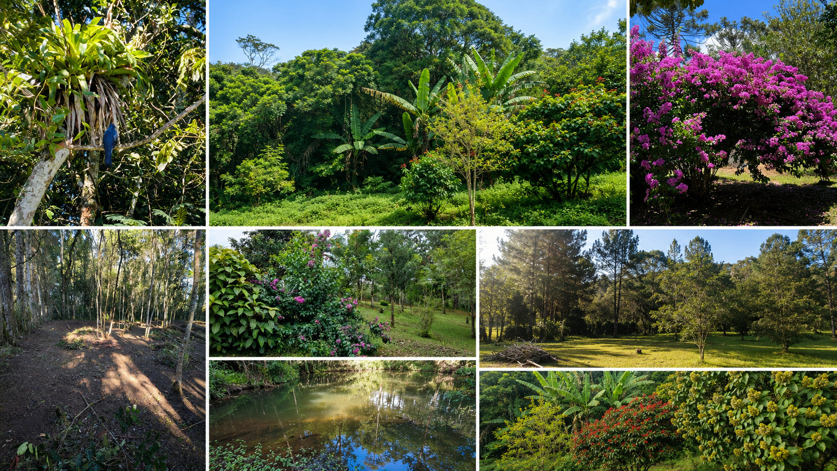 Espaço verde da Estrela do Paraíso com árvores, jardins e áreas de convivência em meio à natureza
